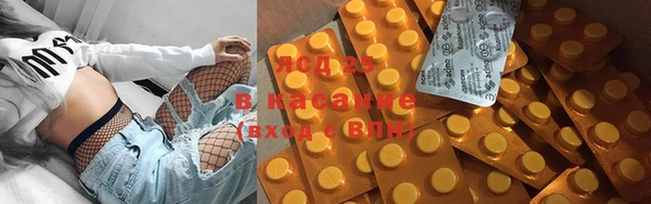 гашик Верея
