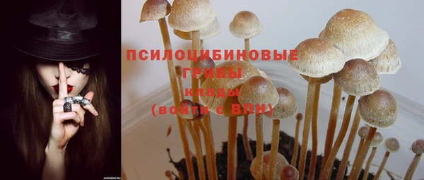 гашик Верея