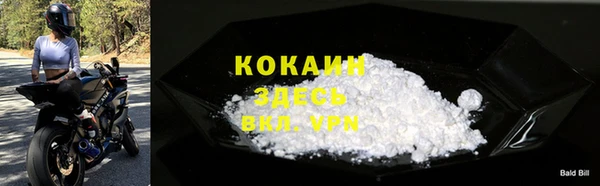 гашик Верея