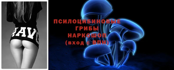 гашик Верея