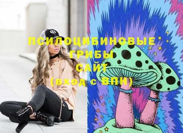 гашик Верея