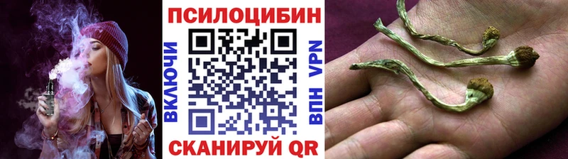 Галлюциногенные грибы GOLDEN TEACHER  Шатура 
