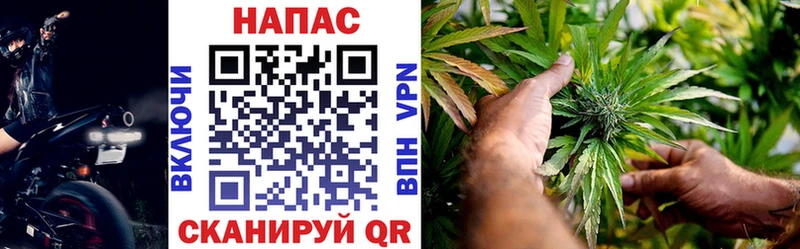 Каннабис гибрид Шатура